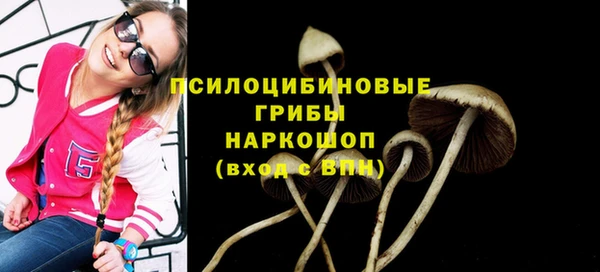 альфа пвп Липки