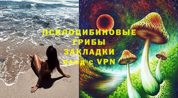 таблы Лиски
