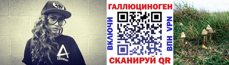 Купить где  Нея  Галлюциногенные грибы Magic Shrooms 